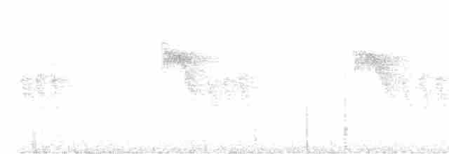 Plumbeous Pigeon - ML615722474