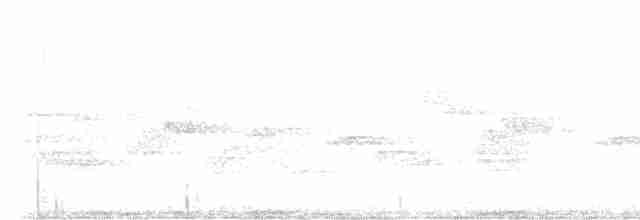 Полосатая агуйла - ML615722506