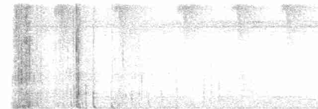 Lacivert Kuyruklu Trogon - ML615722676