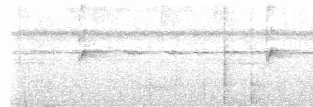 Kara Tepeli Küçük Tiran - ML615722875