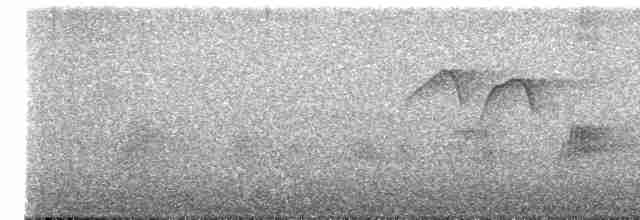 灰喉山椒鳥(solaris群) - ML615723376
