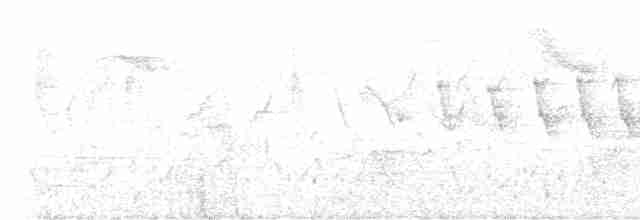 Black-crested Warbler - ML615723407