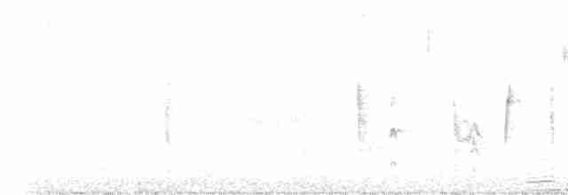 White-eyed Vireo - ML615723964