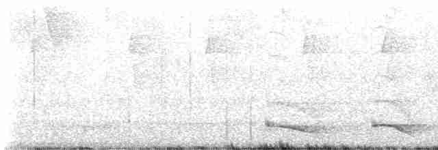 Ошейниковый трогон - ML615724206