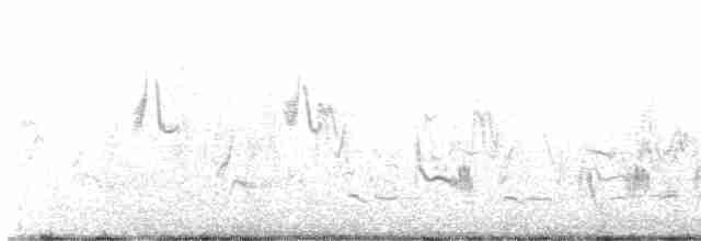 Кактусовый пересмешник - ML615725520