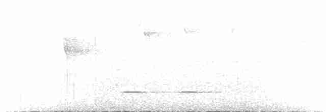Rostbrust-Ameisendrossel - ML615726185