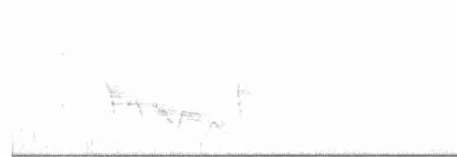 White-eyed Vireo - ML615727070