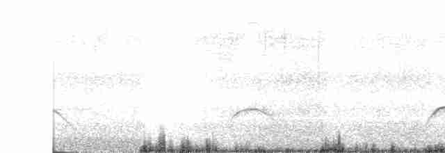 Weißkronen-Olivtyrann - ML615731522
