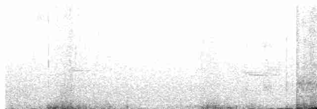 svarthaleketsal - ML615732232