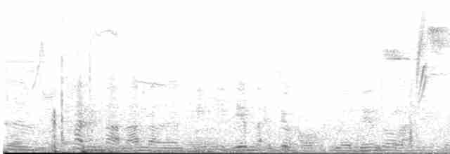 Сіпарая жовточерева - ML615732726