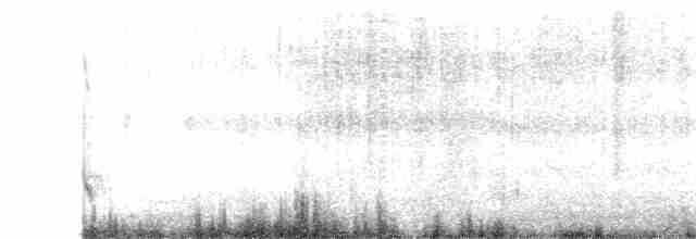 Long-tailed Meadowlark - ML615733063