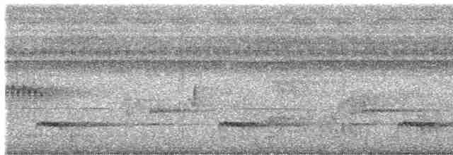 Kara Kulaklı Barbet - ML615733371