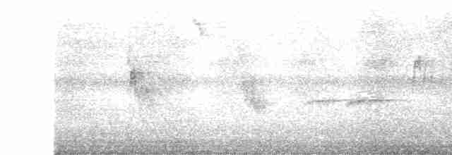 Пурпурногорлая эуфония - ML615734308