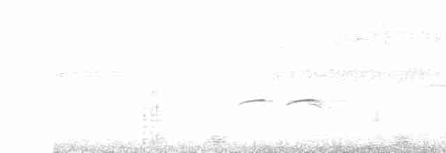 Пурпурногорлая эуфония - ML615735042