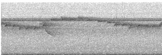 Синеголовая нектарница - ML615735651
