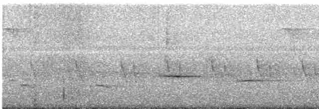 Weißflankenschnäpper - ML615735757