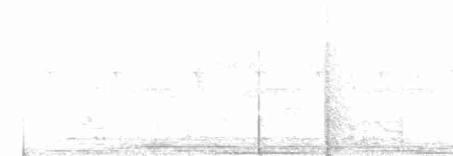 Puff-throated Babbler - ML615736870