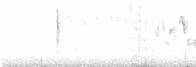 Тихоокеанский крапивник - ML615737381