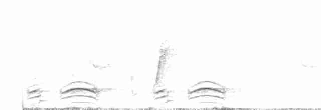 Gray-crowned Babbler - ML615740576
