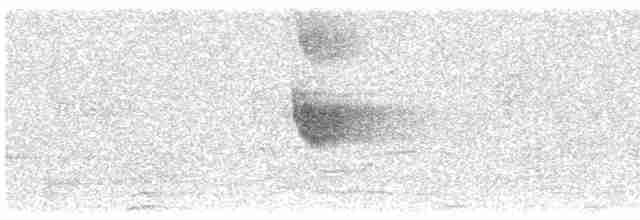 Büyük Islıkçı Bülbülü [flavirostris grubu] - ML615741100