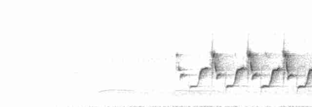 Поплітник каролінський - ML615741862