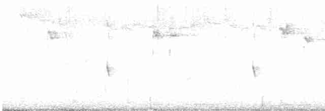 Шипохвостая райадито - ML615743603
