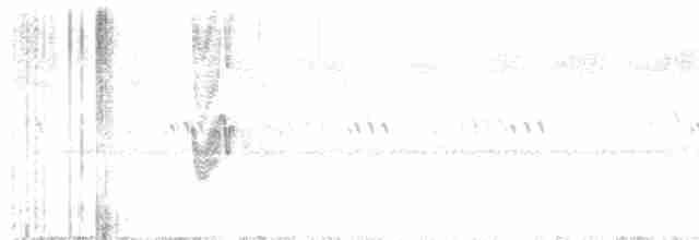 Savannennachtschwalbe - ML615744010