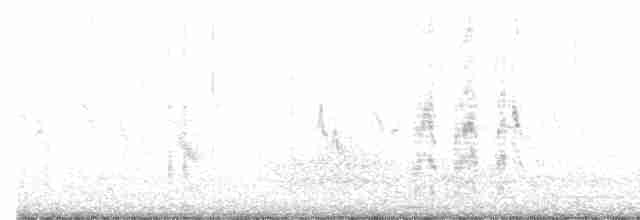 Kara Gagalı Sumru - ML615744261
