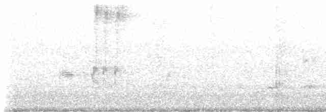 Орел-карлик малий - ML615745258