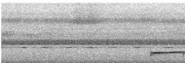 Podarge de Blyth (continentalis) - ML615747051