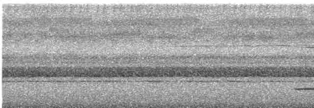 Blyth Kocaağzı (continentalis) - ML615747054