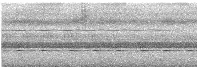 Blyth Kocaağzı (continentalis) - ML615747056