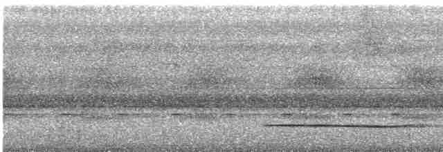 Малайский лягушкорот (continentalis) - ML615747057