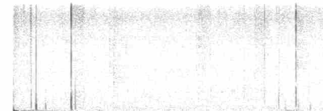 Желтоклювый саблеклюв - ML615747984