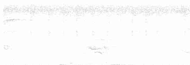 דררה אלכסנדרית (פליטת שבי) - ML615748379