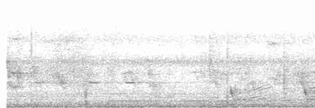 Large-tailed Nightjar - ML615750054