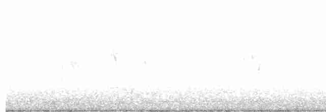 European Greenfinch - ML615750182