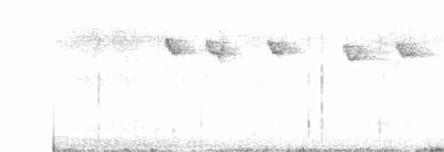 Stachelschwanzschlüpfer - ML615750708