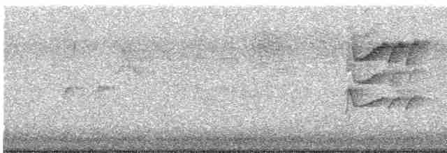 Окулярник сивоспинний - ML615750938