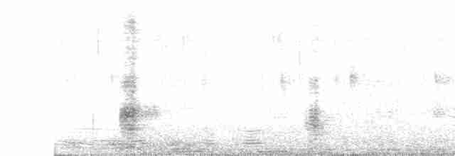 Чирянка жовтодзьоба - ML615751289