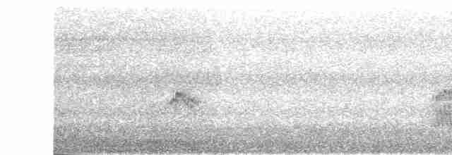 Magellandrossel - ML615751885