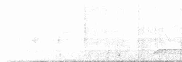 Vireo Ojiblanco - ML615752366