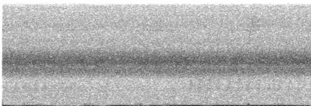 arassari hnědouchý - ML615757570