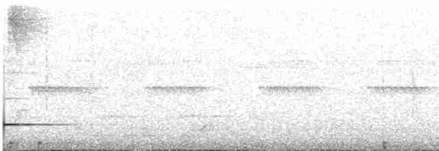 Серый скрытохвост - ML615758047
