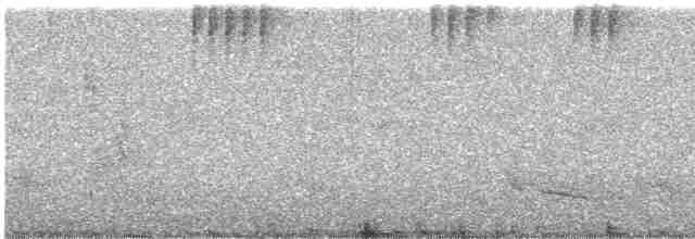 Ошейниковая нектарница - ML615758096