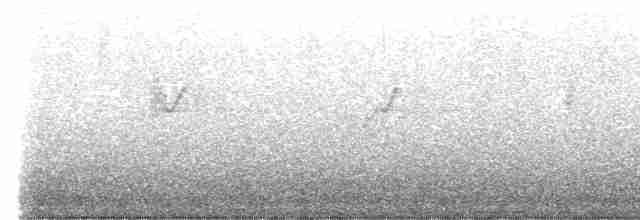 Purpurnektarvogel - ML615761605