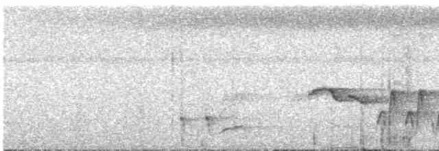 Kara Başlı Çıtkuşu - ML615765247