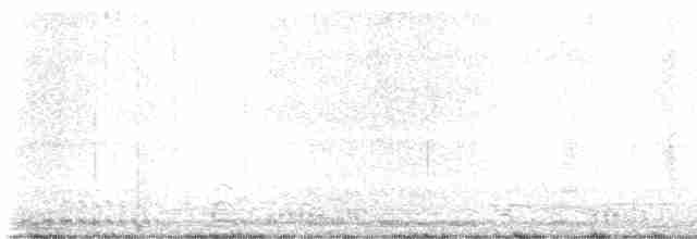 Cygne siffleur - ML615766199