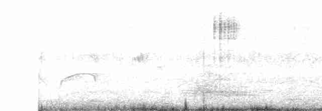 コシジロミドリツバメ - ML615769840