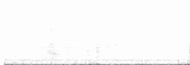 Sharp-tailed Grouse - ML615770246